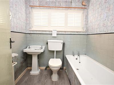 Picture 11